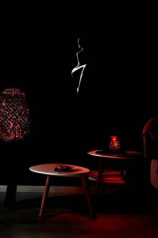 Reflective Abstract Female Figure Wall Art