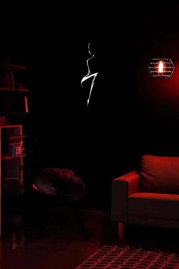 Reflective Abstract Female Figure Wall Art