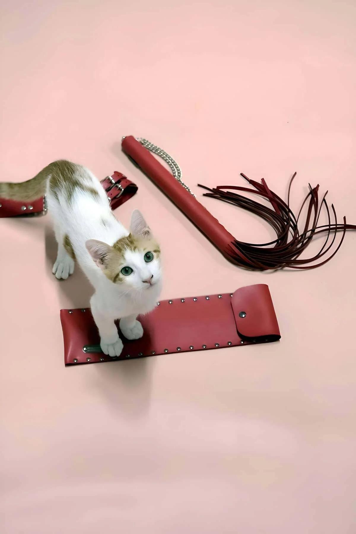 Red Faux Leather Whip and Adjustable Cuff Set