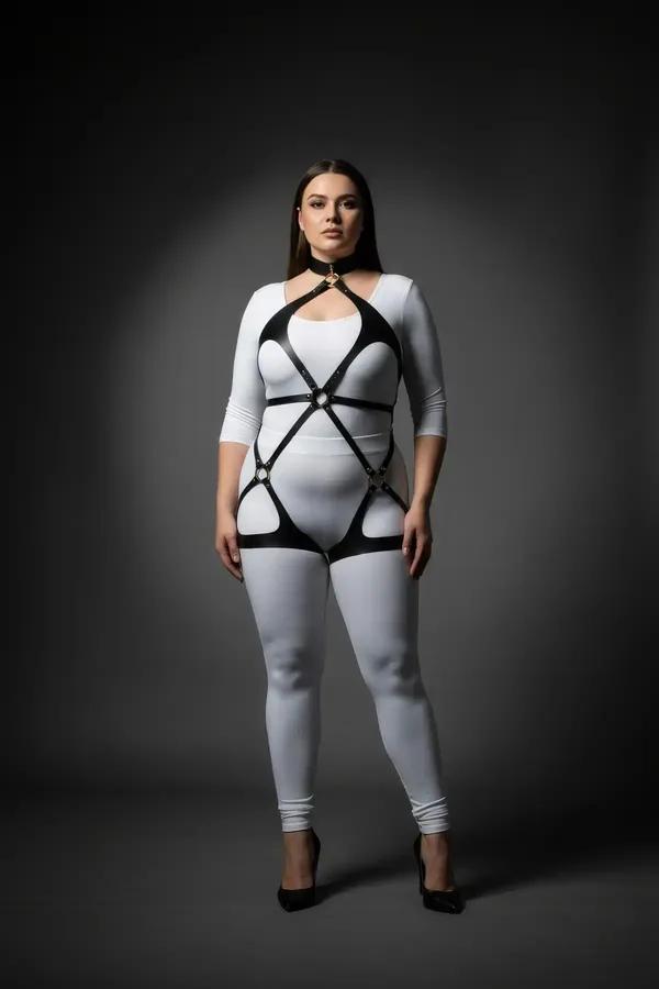 Full Body Harness with Neck Collar and Thigh Straps