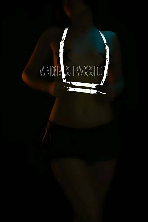 Reflective Chest Harness with Adjustable Straps