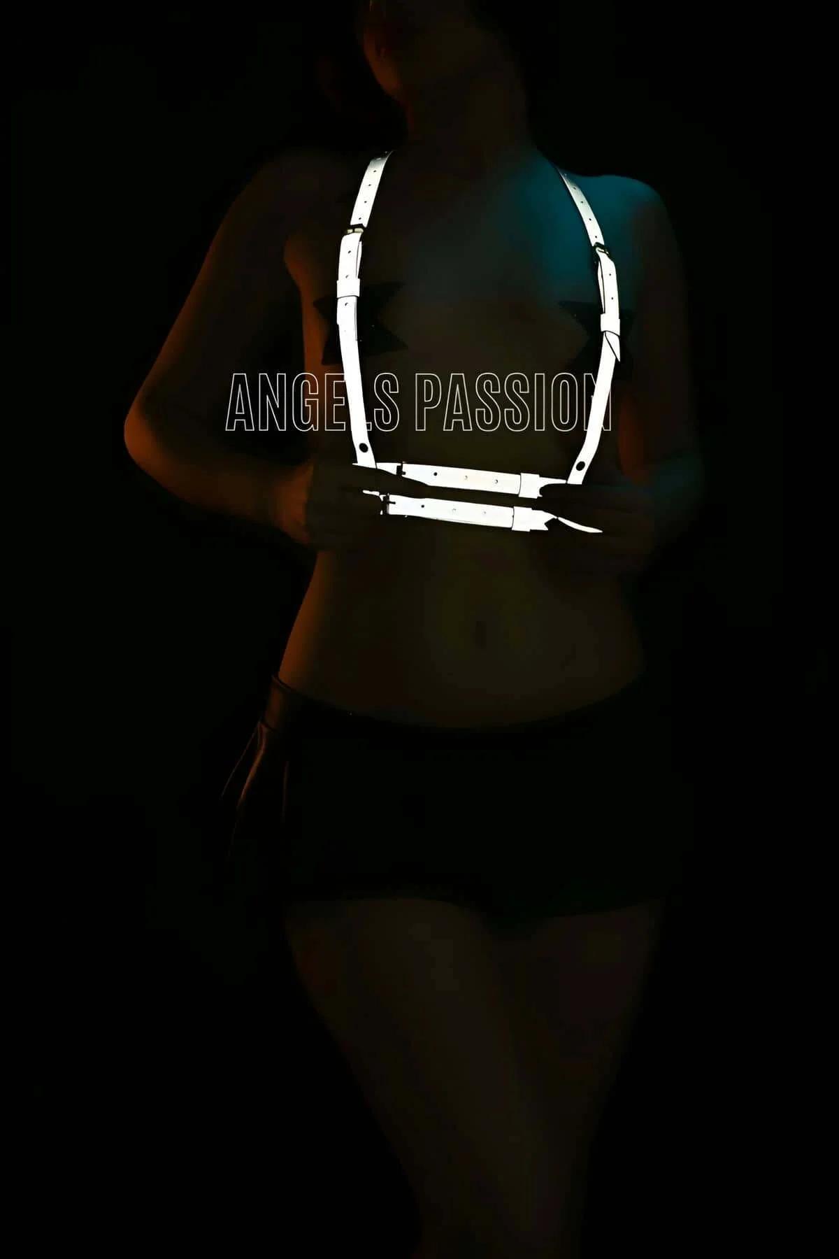 Reflective Chest Harness with Adjustable Straps