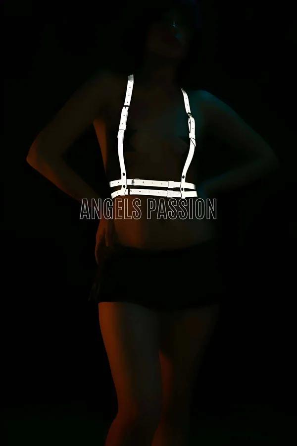 Reflective Chest Harness with Adjustable Straps