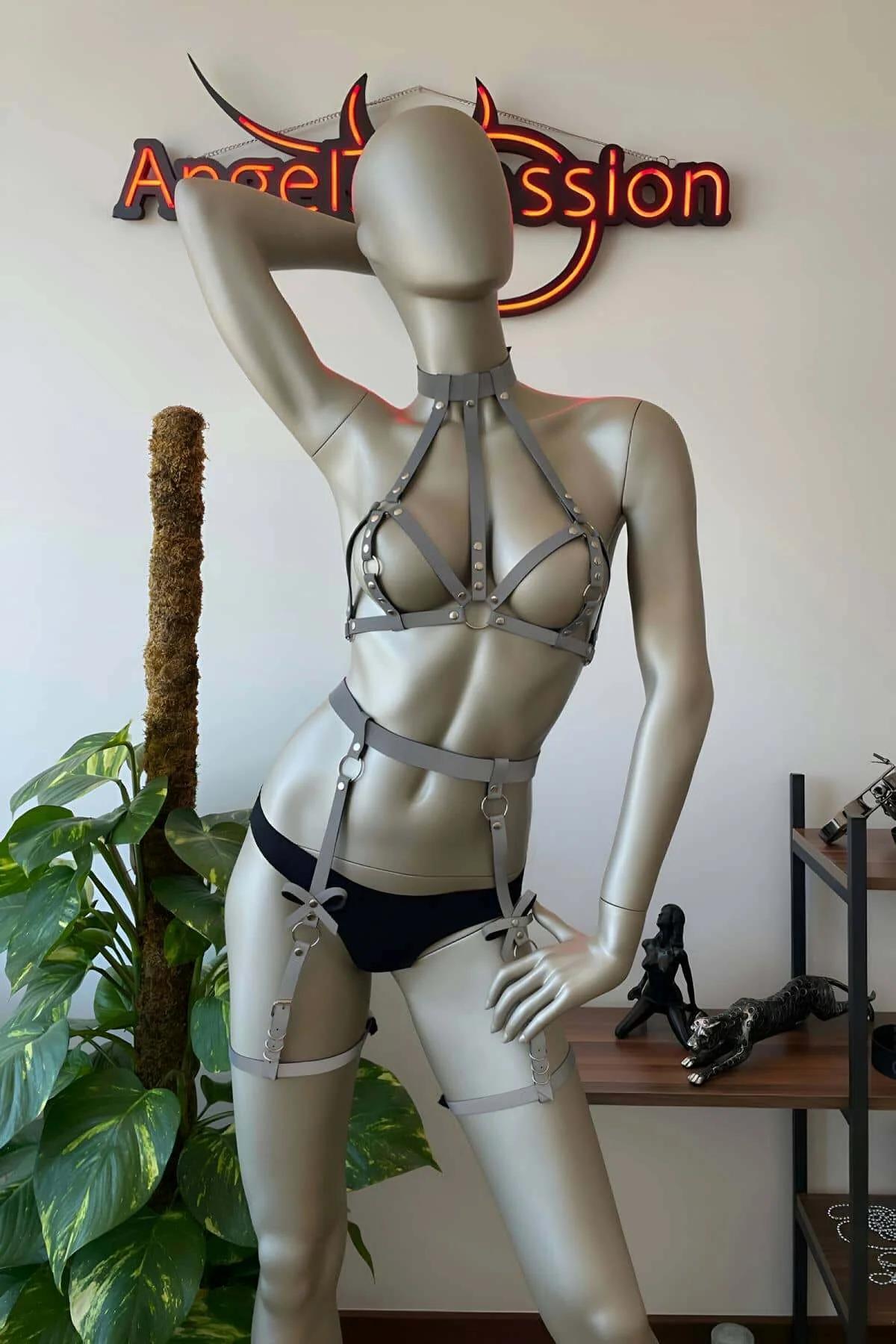 Reflective Harness & Garter Set