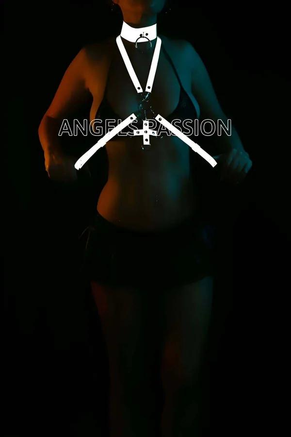 Reflective Body Harness with Choker and Adjustable Straps