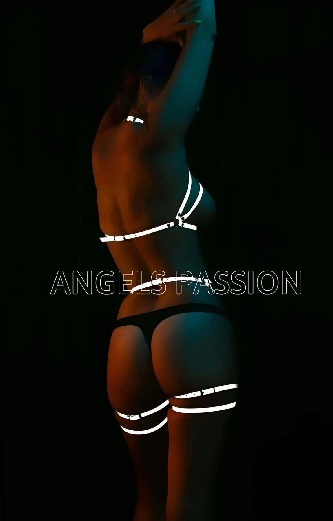 Reflective Full Body Harness Straps