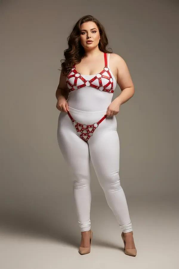 Red Cage Bra & Panty Harness Set with O-Rings