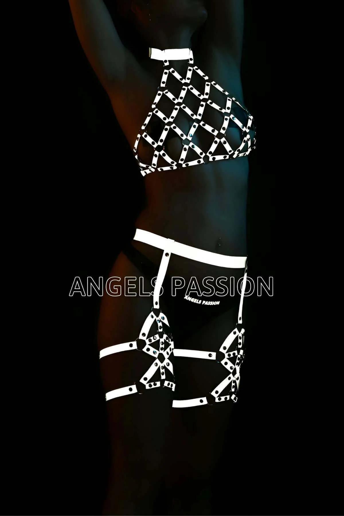Reflective Caged Halter Harness with Leg Garters Set