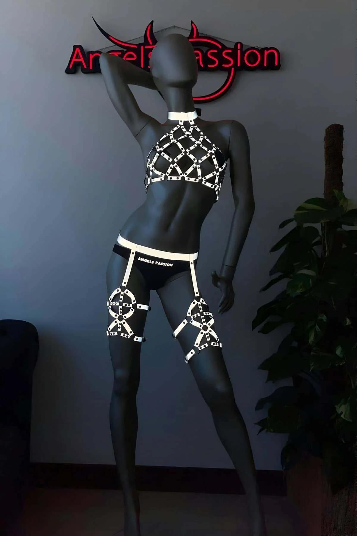 Reflective Caged Halter Harness with Leg Garters Set