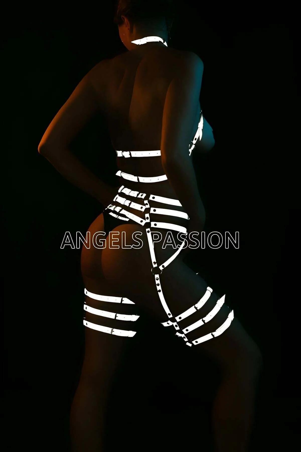 Reflective Full Body Harness with Garter Straps