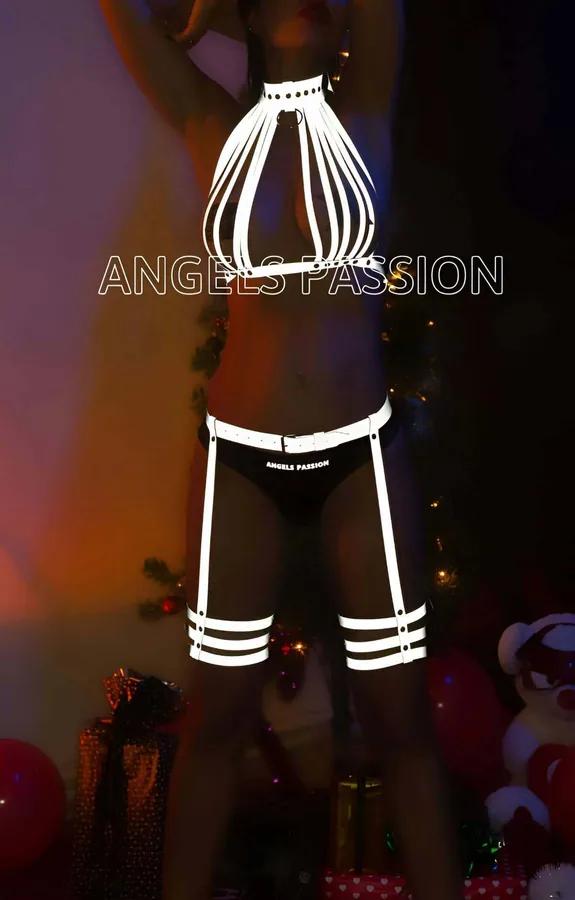 Reflective Halter Harness and Garter Set