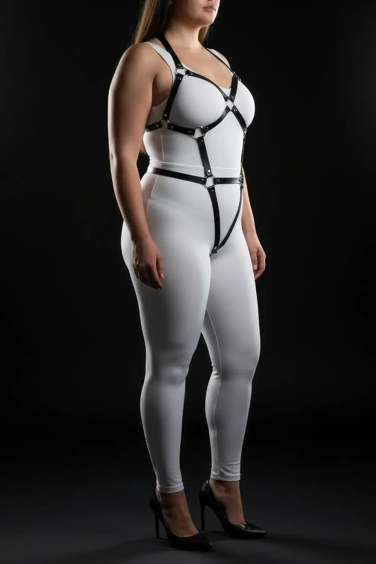 Full Body Harness with O-Ring Straps