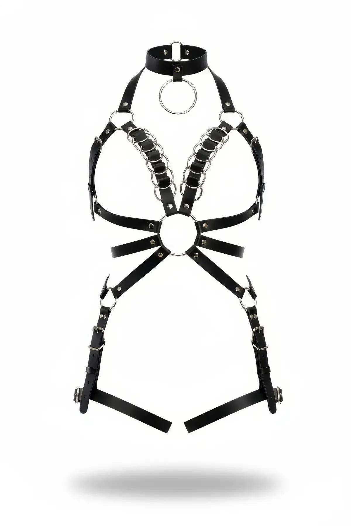 Full Body Harness with Halter Collar & O-Ring Chains