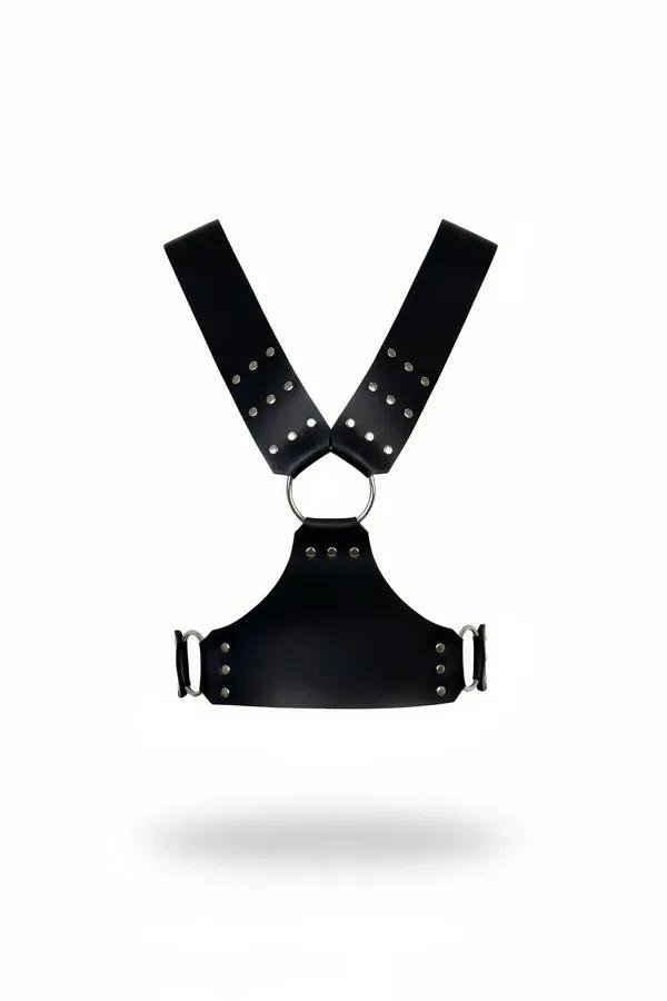 Studded Wide-Strap Chest Harness with O-Ring