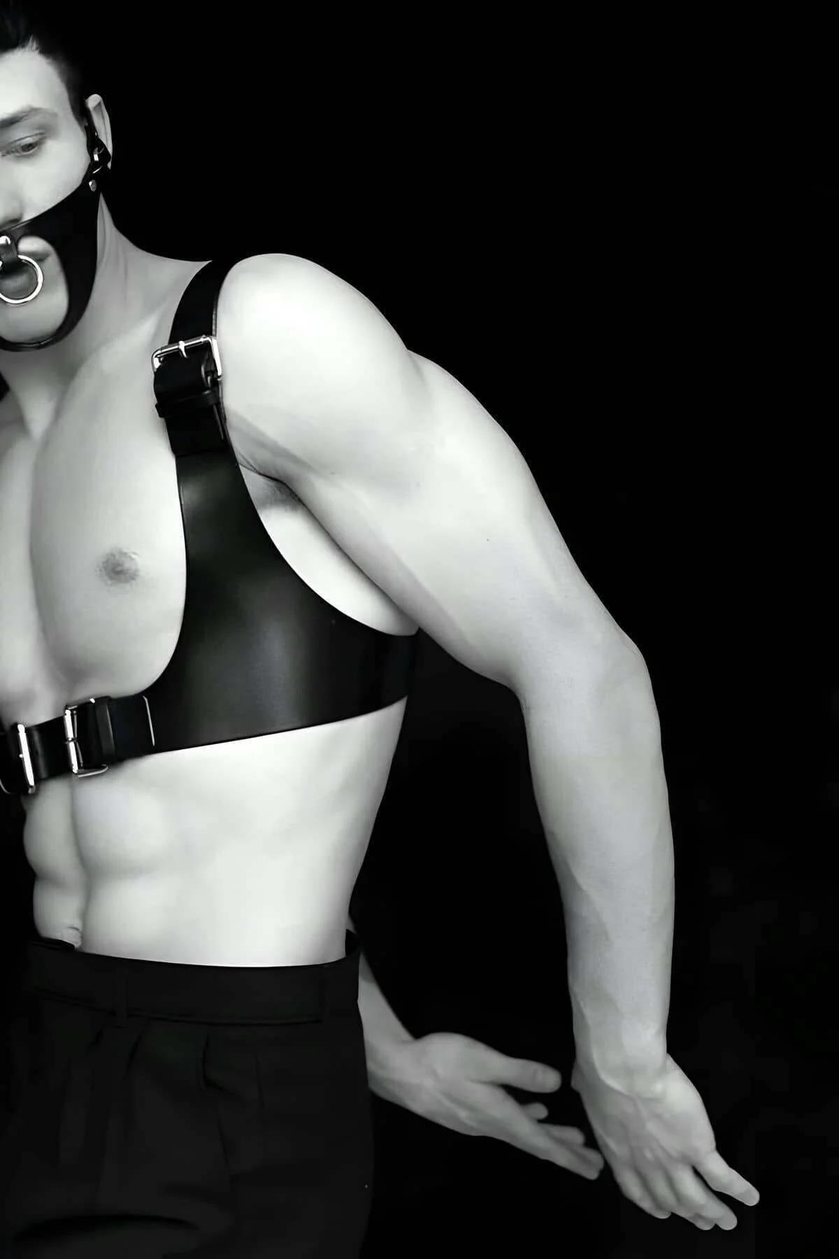 Full Body Harness with Detachable O-Ring Gag Mask