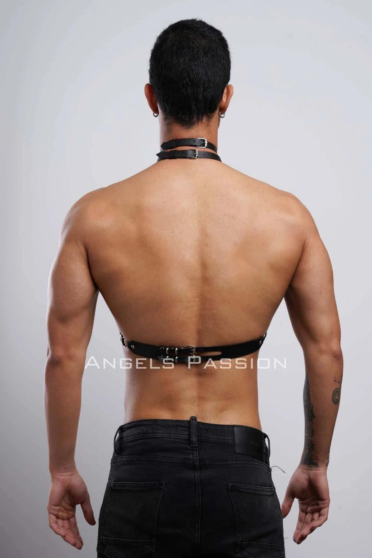 Faux Leather Harness with Collar & Chest Straps