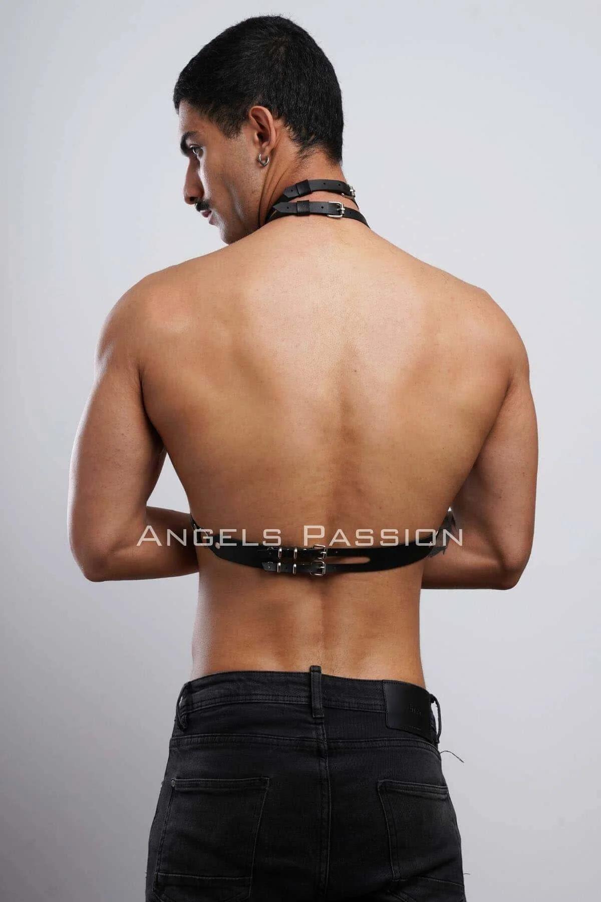 Faux Leather Harness with Collar & Chest Straps