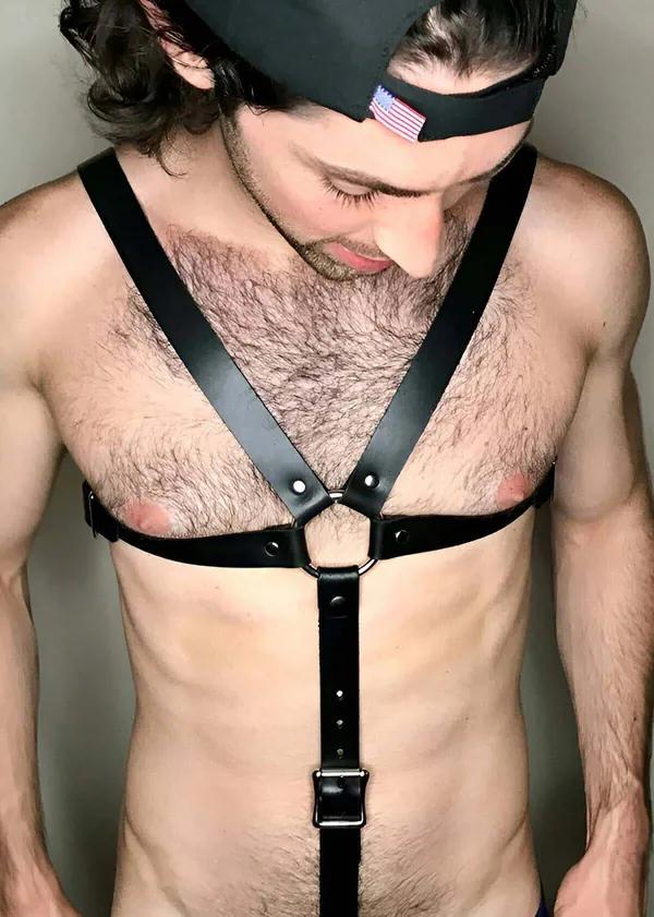 Classic Chest Harness with O-Ring & Adjustable Straps