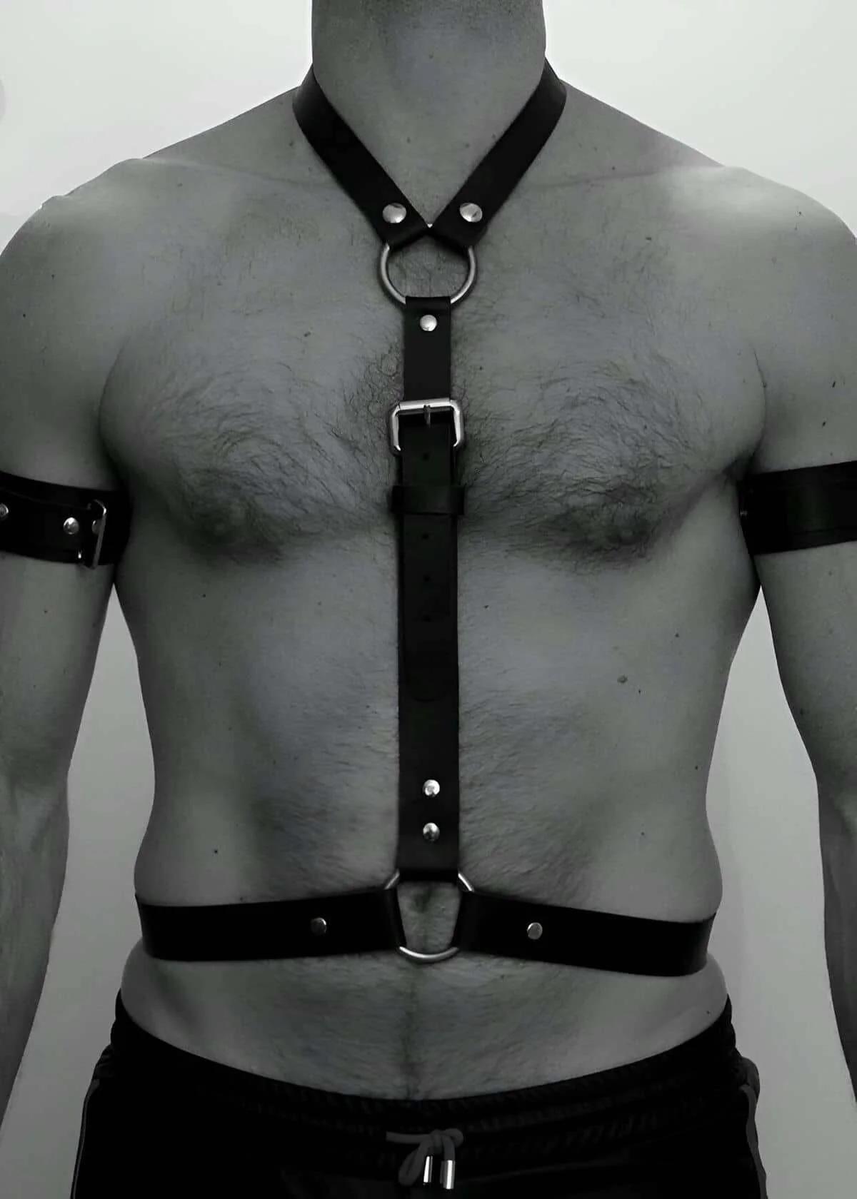 O-Ring Chest Harness with Buckle Adjustment