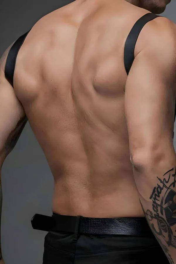 Adjustable Chest Harness with O-Ring Accent