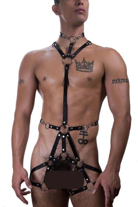 Full Body Harness with O-Ring Straps