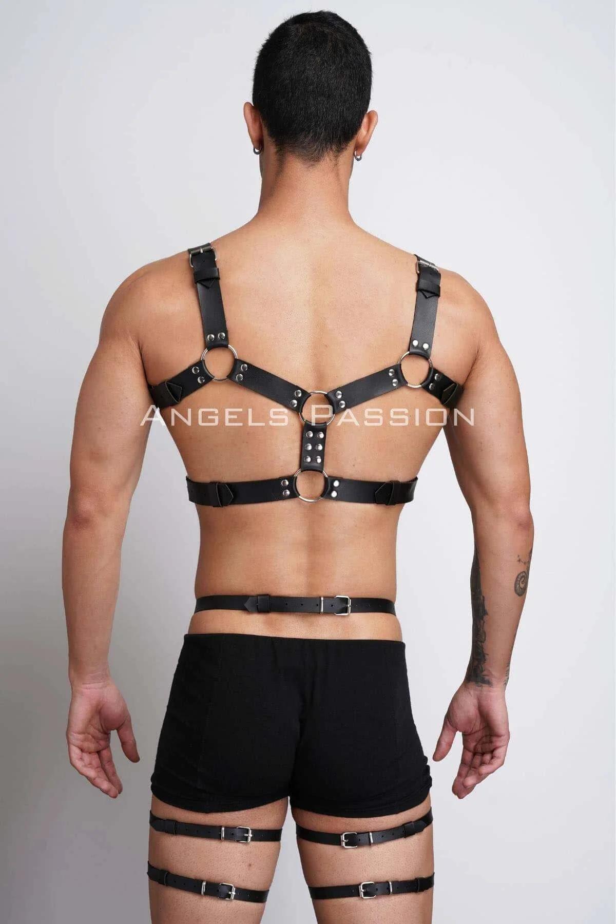 Full Body Harness with O-Ring Accents