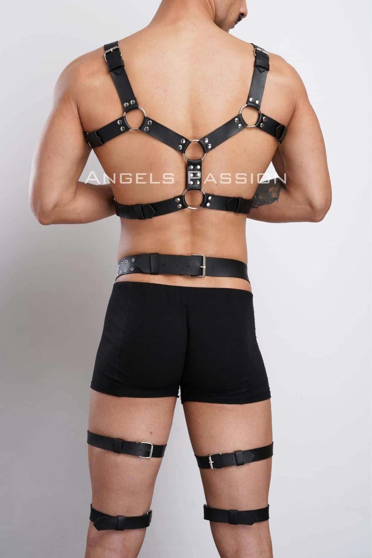 Full Body Harness with O-Ring Straps
