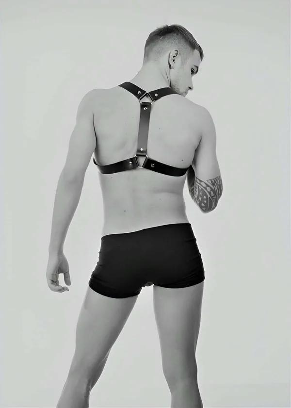Shoulder Harness with Adjustable O-Ring Straps