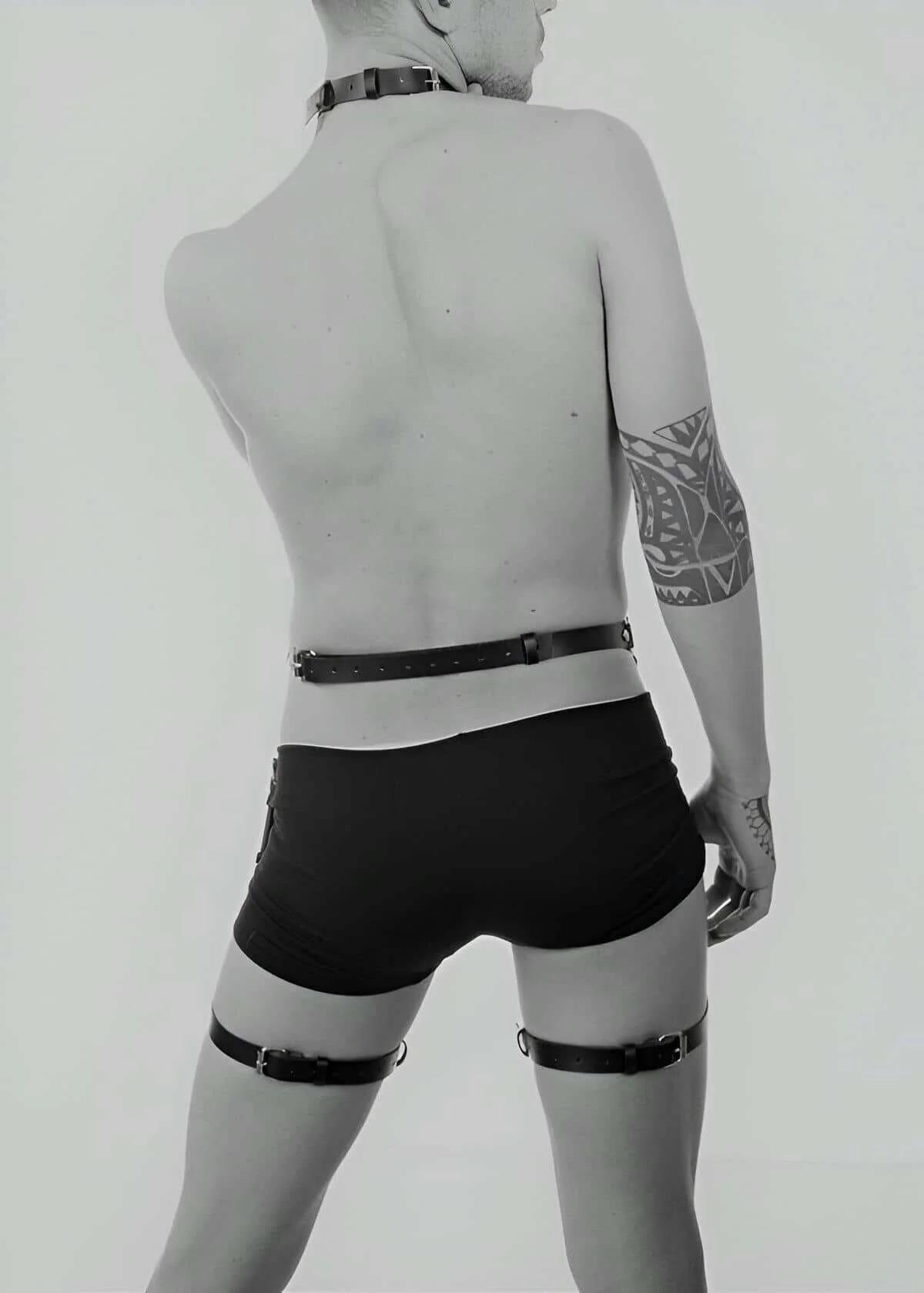 Full Body Harness with Thigh Straps and Collar