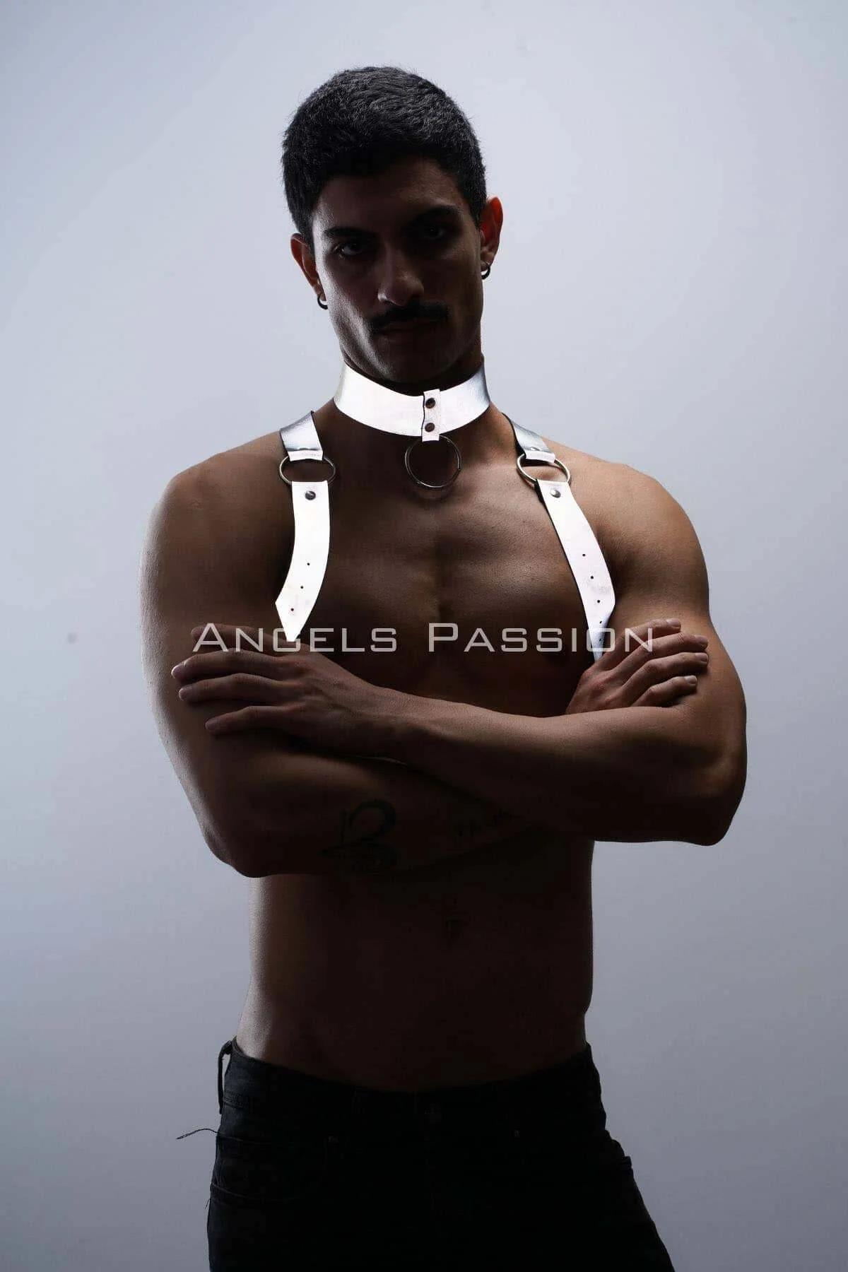 Reflective Body Harness & Choker Set