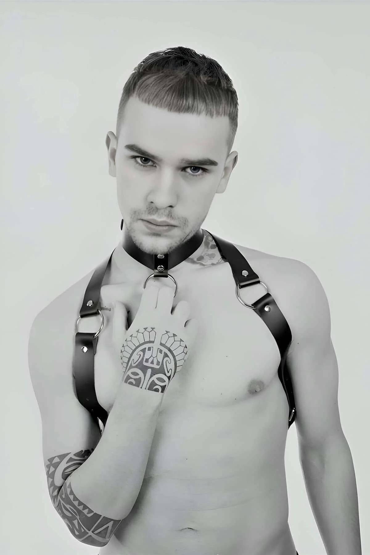 Adjustable Chest Harness with Collar and O-Ring Detail