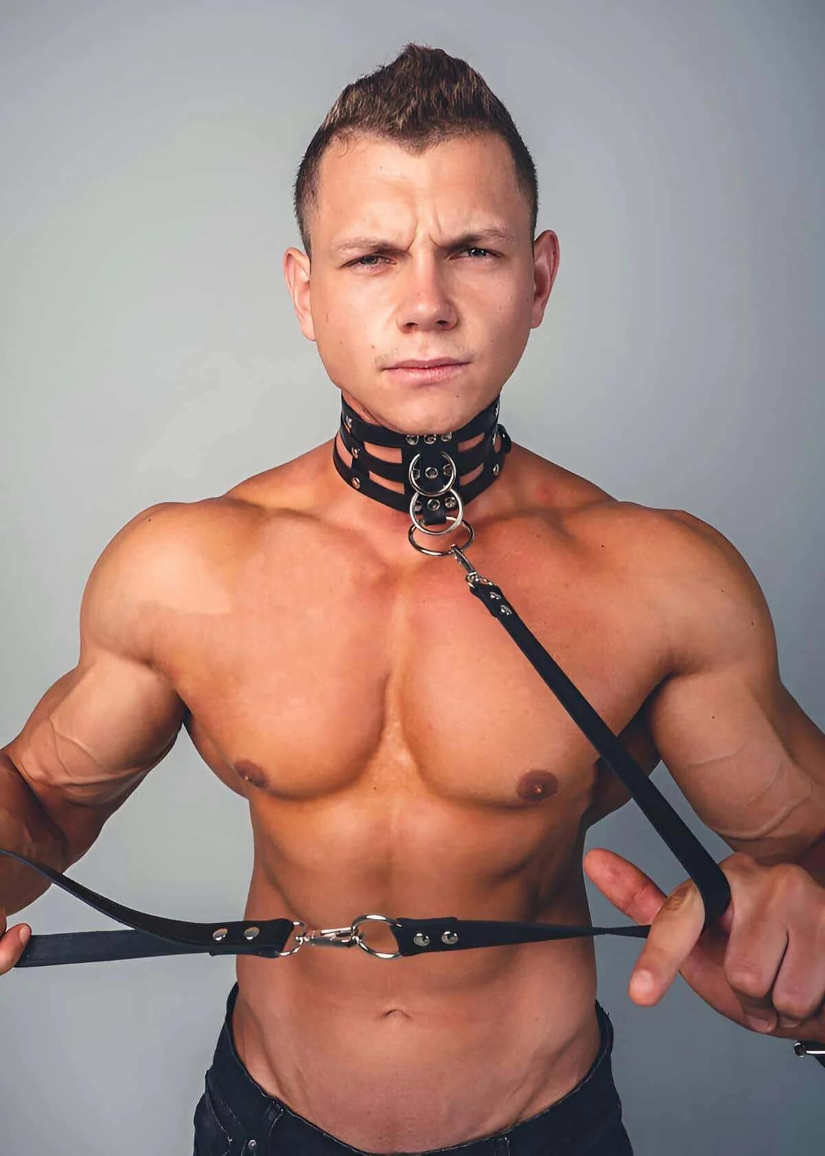 Quad Strap Body Harness with O-Ring Detail