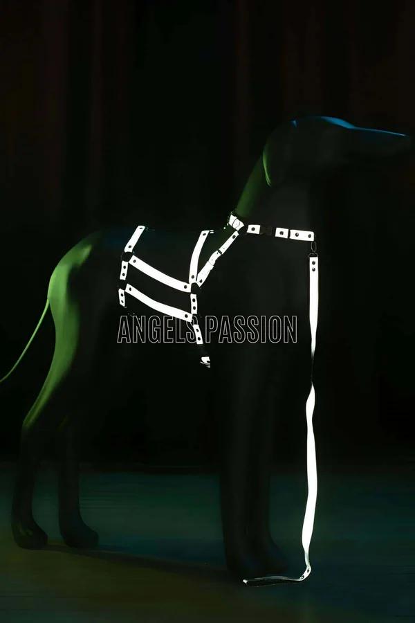 Reflective Body Harness with Adjustable Straps & Chain