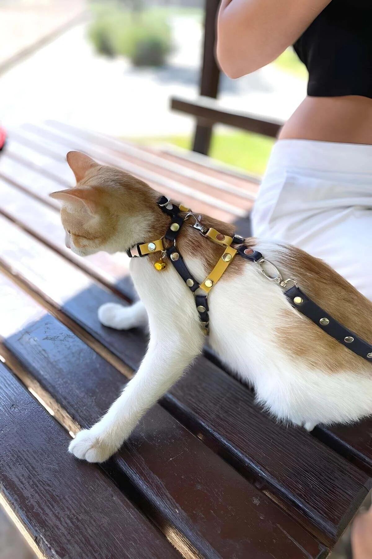 H-style navy yellow PU leather cat harness showing chest swivel leash clip detail
