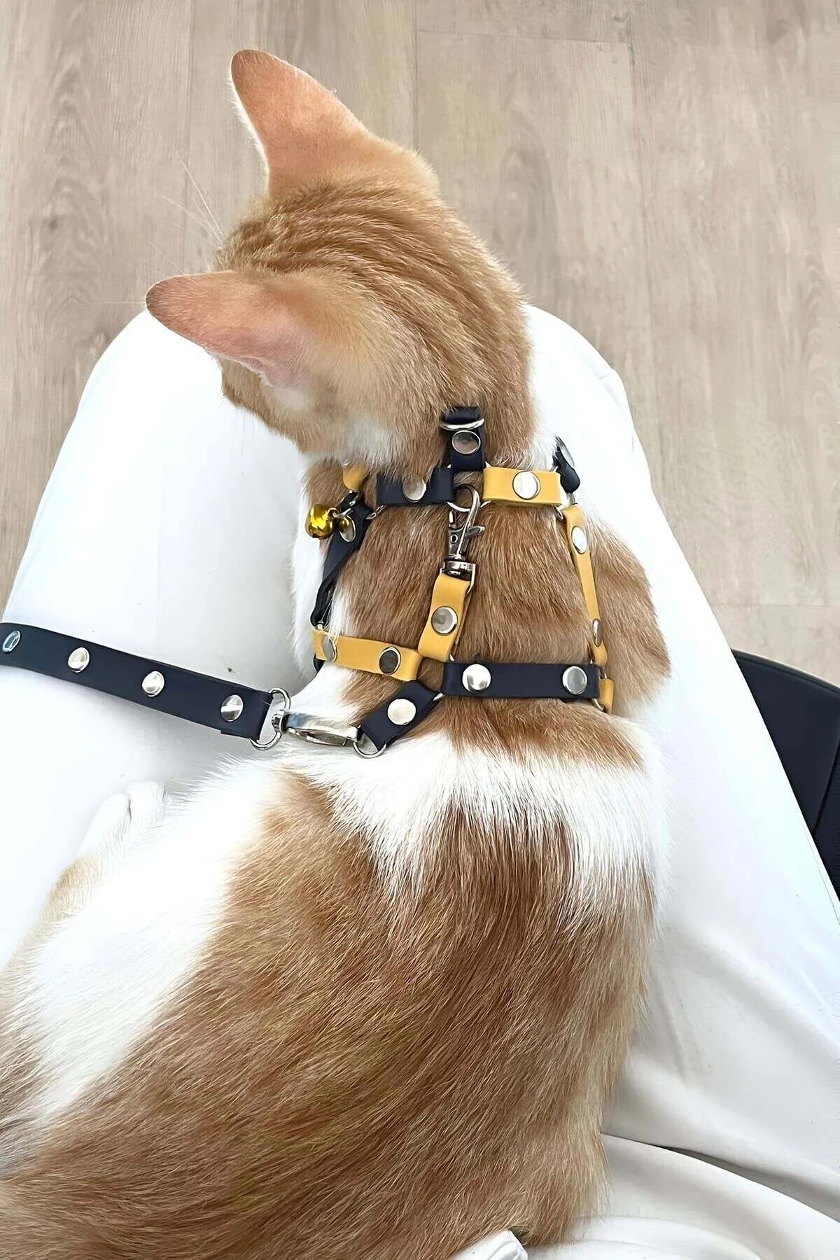 Adjustable two-tone cat harness navy strap with yellow cross panel and silver rivets close-up