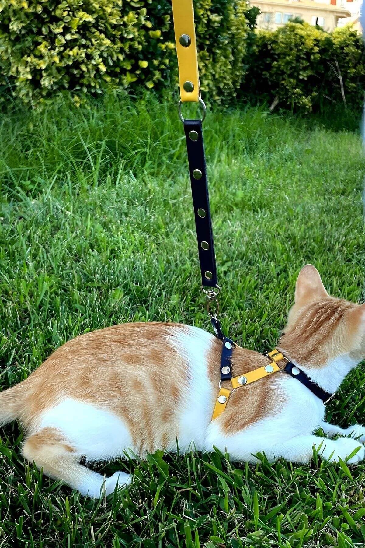 Yellow and navy faux leather cat harness buckle adjuster on belly band side view