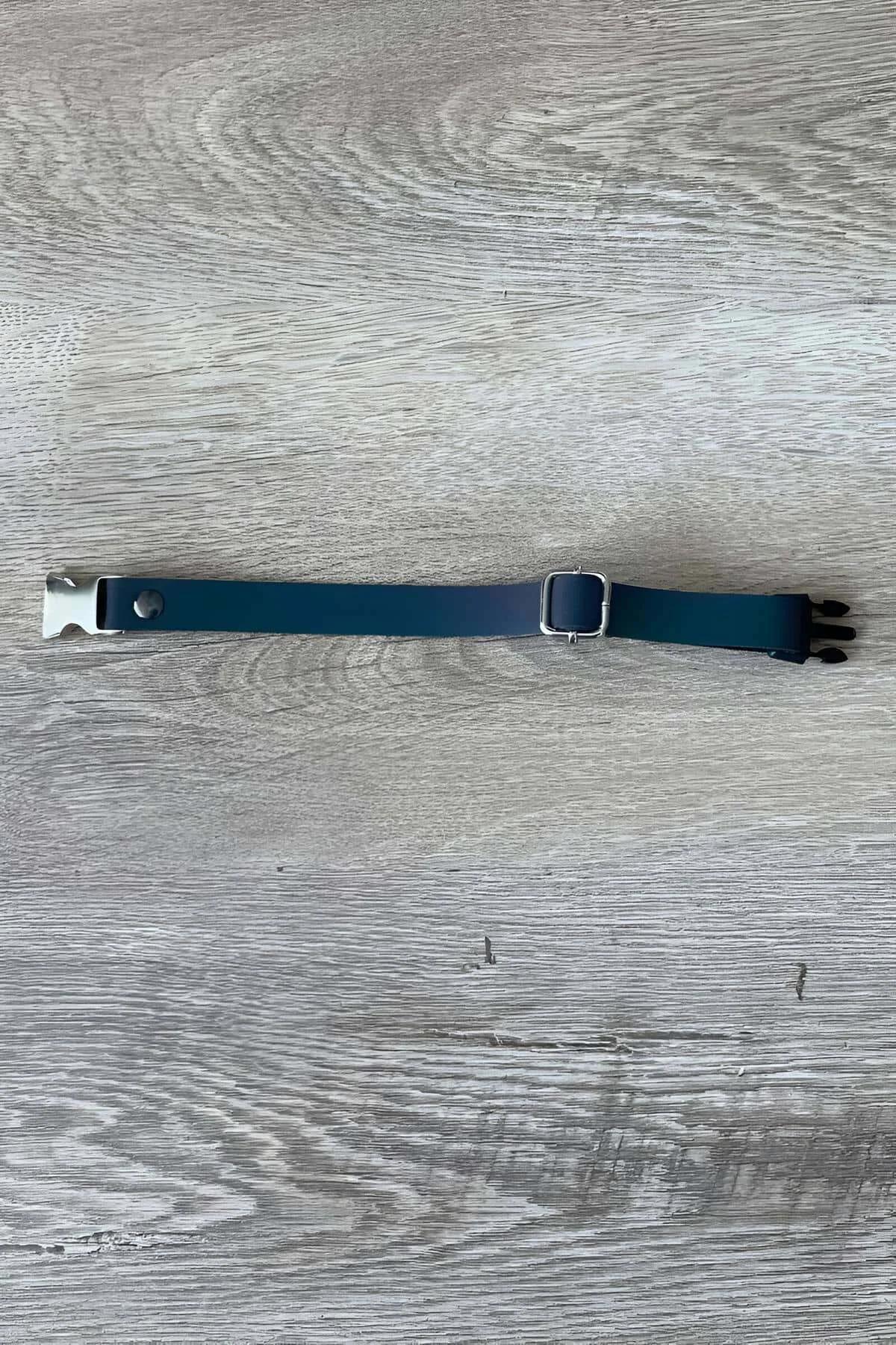 Close-up of silver quick-release buckle on blue synthetic cat collar strap