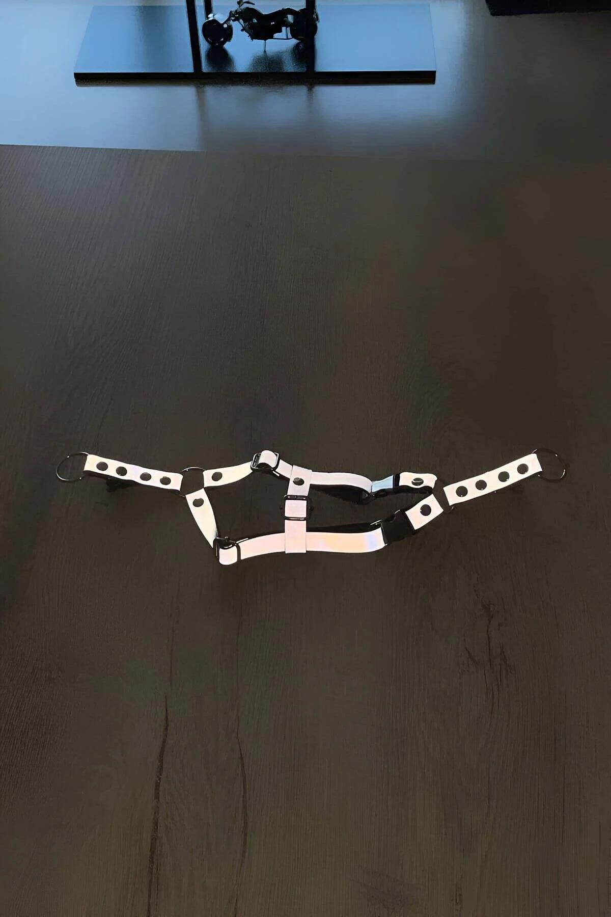 black cat harness on tabby cat chest buckle detail close-up