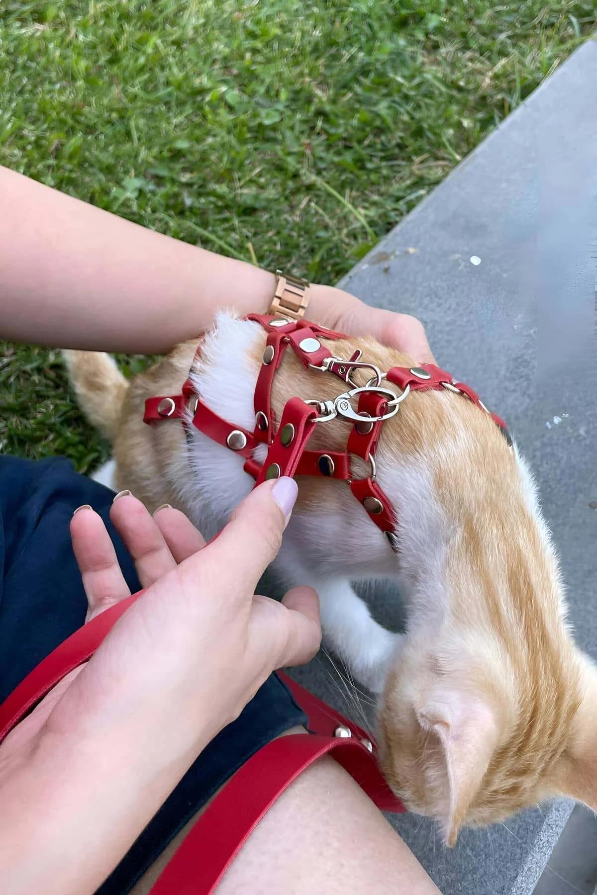 full body cat harness red color S/M size front chest strap detail