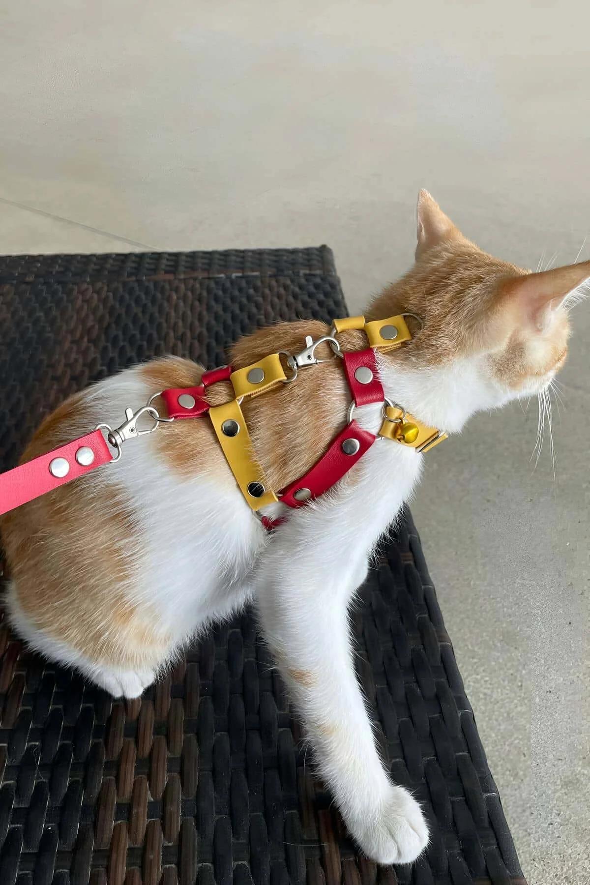 İki Renkli Ayarlanabilir Deri Kedi Gezdirme Tasması ve Kayışı