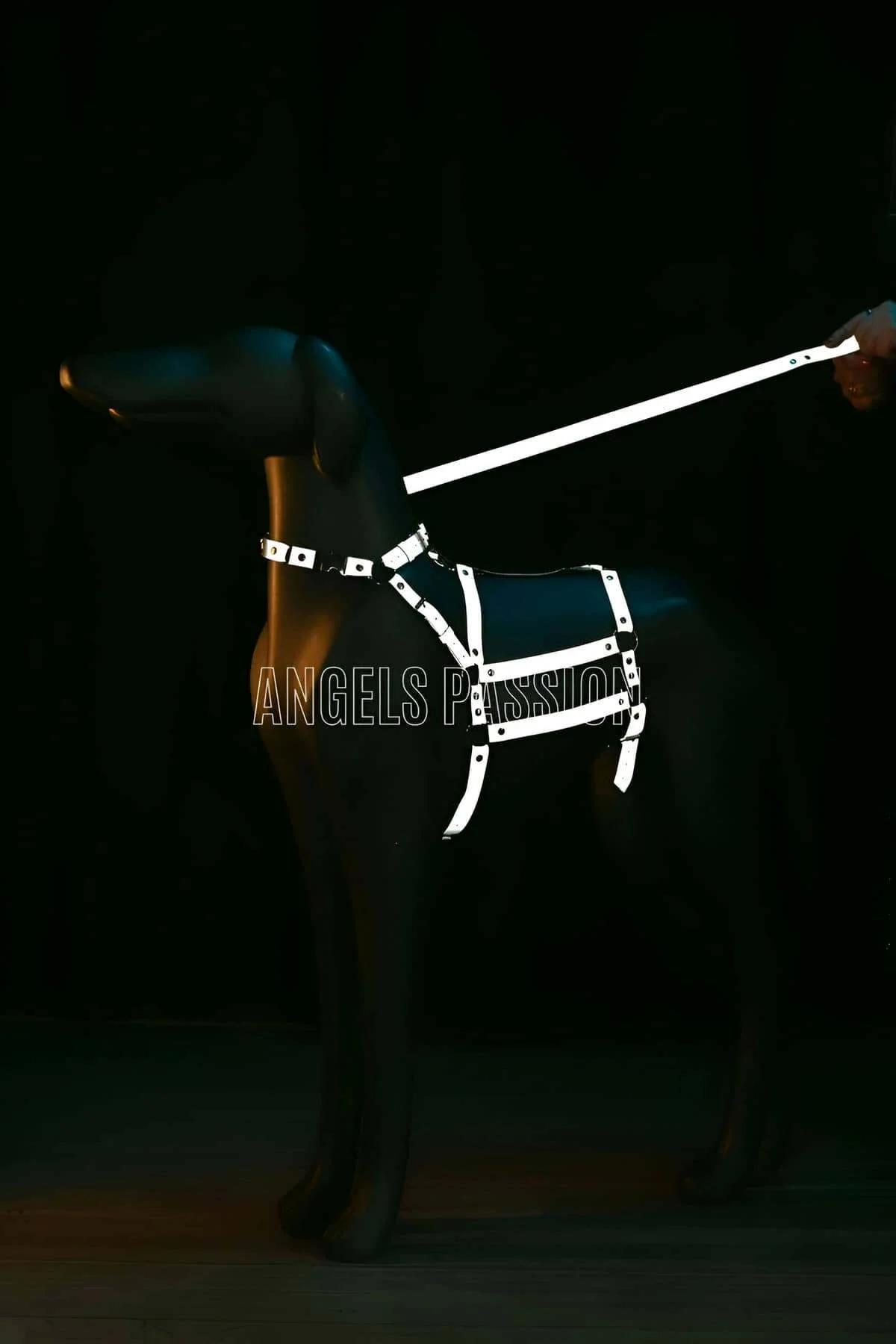 Adjustable reflective body harness with metal slider buckles and O-ring connectors detail