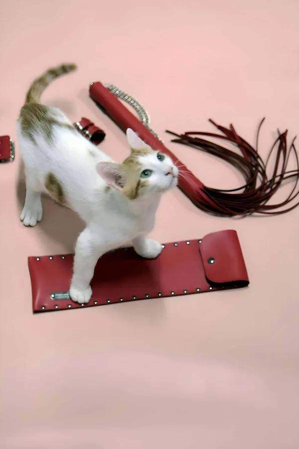 red faux leather whip with braided tassel and silver-studded wide cuff set displayed on pink background